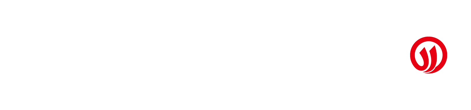 NAVIGATOR TECHNOLOGY